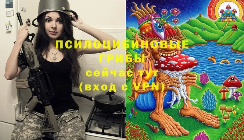 Псилоцибиновые грибы MAGIC MUSHROOMS  купить  цена  Лукоянов 